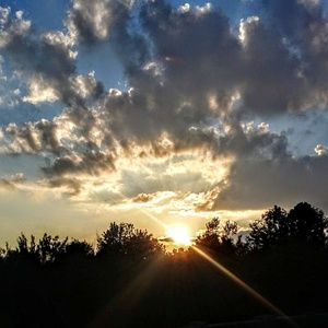 Meet your Posher, Dionne